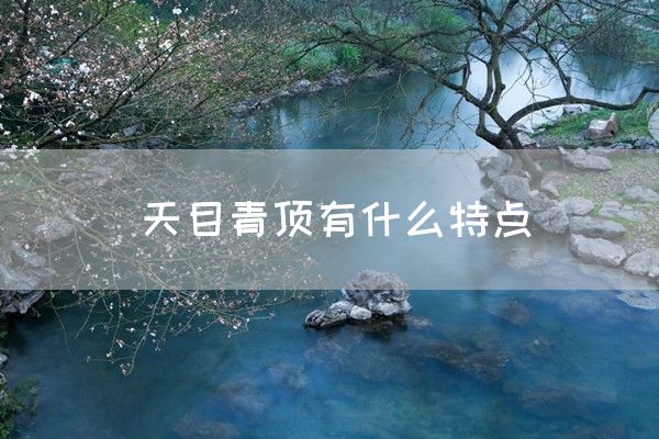 天目青顶有什么特点(图1)