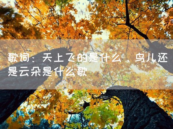 歌词：天上飞的是什么，鸟儿还是云朵是什么歌(图1)