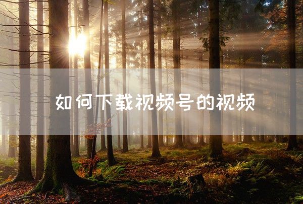 如何下载视频号的视频(图1)