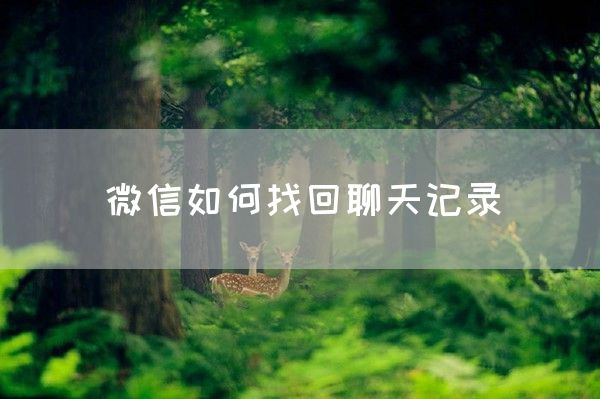 微信如何找回聊天记录(图1)