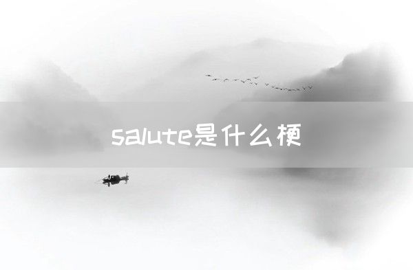 salute是什么梗(图1)