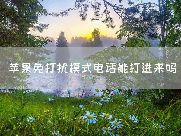 苹果免打扰模式电话能打进来吗(图1)