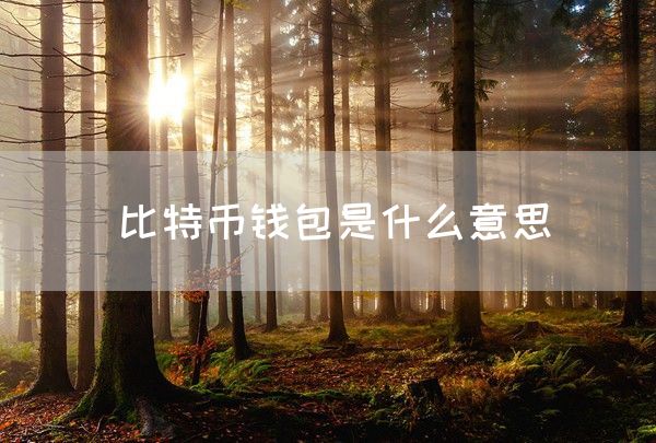 比特币钱包是什么意思(图1)